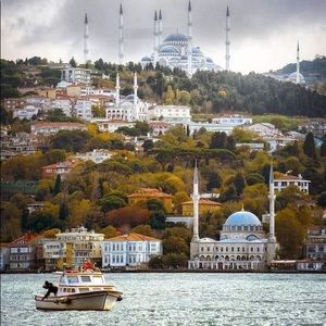 Meet your Posher, Sofia